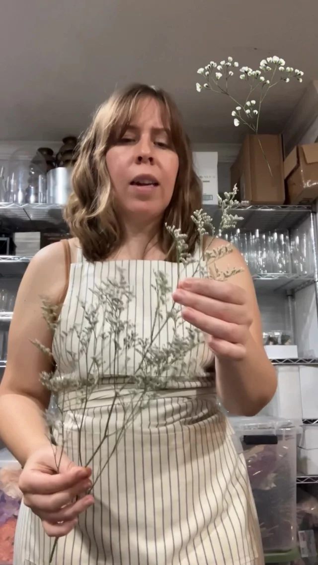 Maybe you don't like baby's breath (gypsophillia) or are allergic.  Fear not, there are several different options you can substitue.  Limonium, statice, even something like a wax flower will give you the filler flower quality without being baby's breath. 
.
.
.
#bringjoy #florist #floristofinstagram #flowers #flowersofinstagram #houstonlove #love #wedding #weddings #bride #groom #houstonweddings #texas #houston #htx #houstonvenue #houstonflorist