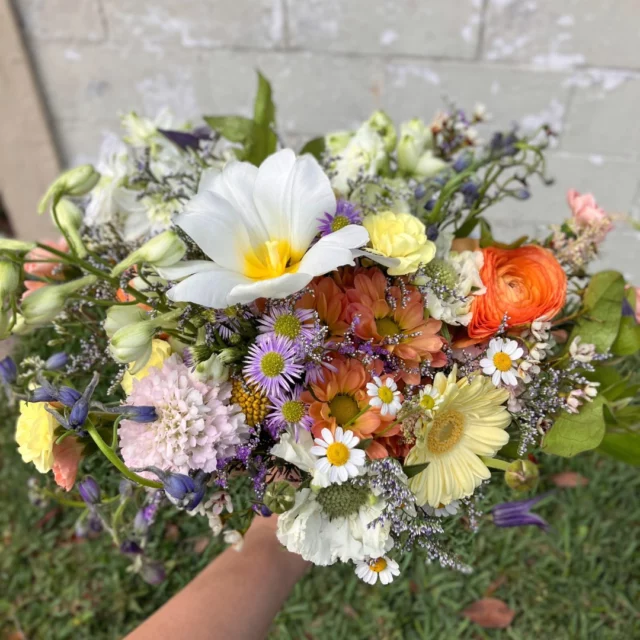 We are convinced that nothing says spring more than this wildflower bouquet!  With all the colors and blooms we fell in love with this happy style even with the rain showers that came. 
.
.
.
#bringjoy #florist #floristofinstagram #flowers #flowersofinstagram #houstonlove #love #wedding #weddings #bride #groom #houstonweddings #texas #houston #htx #houstonvenue #houstonflorist #thebarnatbonnercreek